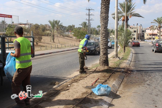 فيديو - كفر قاسم :  بعد النشر في قسماوي نت  البدء بالمراحل الاولى من البستنة والتشجير في جزر مدخل المدينة 